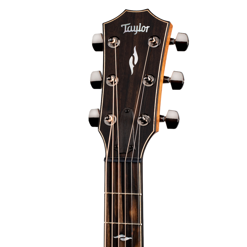 814ce taylor headstock
