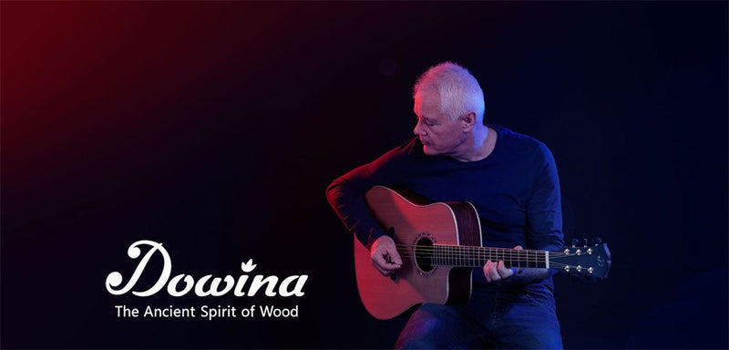 Dowina Guitars Blog Post