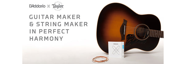 Taylor Guitars and D'Addario Join Forces