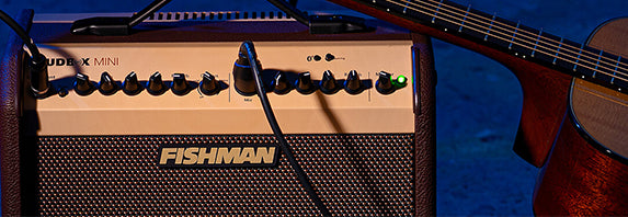 FISHMAN Loudbox Mini with Bluetooth