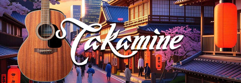 Takamine D Series Guitars