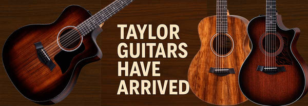 Fresh Shipment of Taylor Guitars Just Landed at Colemans Music Melbourne CBD