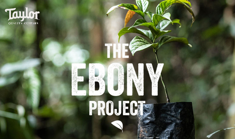 Taylor Guitars | The Ebony Project