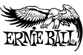 Ernie Ball Guitar Strings Australia