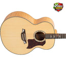 BROMO BAN7E  Jumbo Acoustic-Electric