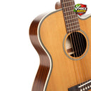 CORT ESSENCE OC4 - Natural Semi Gloss