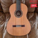 ESTEVE 4ST Cedar Top Classical