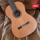 ESTEVE 4ST Cedar Top Classical