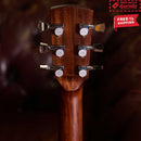FENECH Delta Blues Grand Auditorium Cutaway