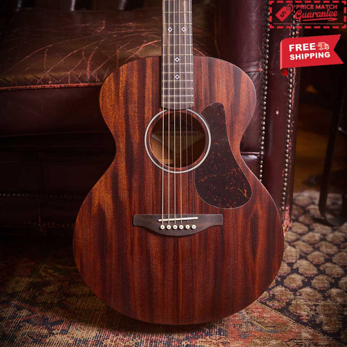 FENECH Delta Blues Series Auditorium