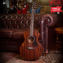 FENECH Delta Blues Series Auditorium