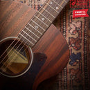FENECH Delta Blues Series Auditorium