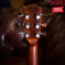 FENECH Delta Blues Series Auditorium