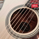 FENECH True Tone Series Grand Auditorium Cutaway