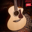 FENECH True Tone Series Grand Auditorium Cutaway