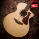 FENECH True Tone Series Grand Auditorium Cutaway