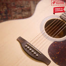 FENECH True Tone Series Grand Auditorium Cutaway