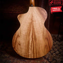 FENECH VT Grand Auditorium Camphor
