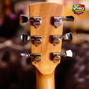 FENECH VTH Grand Auditorium Cutaway Camphor
