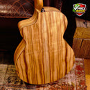 FENECH VTH Grand Auditorium Cutaway Camphor