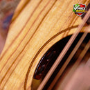 FENECH VTH Grand Auditorium Cutaway Camphor