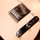PRELOVED FENDER Player Telecaster 2021 Arctic White