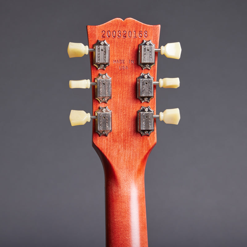 GIBSON SG Tribute