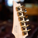 IBANEZ PIA3761 XB Steve Vai Signature Model