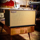 PRELOVED Mesa/Boogie 2x12 Horizontal Rectifier Cabinet