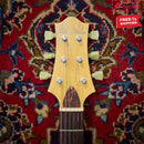 Nik Huber Piet - Stained Black Descendant Vibrato