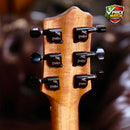 PRATLEY Classic Series Mini OM Model Solid Blackwood Top, Solid Blackwood