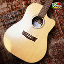 PRATLEY Custom Shop Dreadnought Camphor Laurel