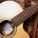 PRATLEY Custom Shop Dreadnought Camphor Laurel