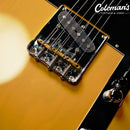 PRELOVED FENDER American Pro II Telecaster Butterscotch