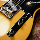 PRELOVED FENDER American Pro II Telecaster Butterscotch