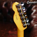 PRELOVED FENDER American Pro II Telecaster Butterscotch