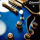 PRELOVED IBANEZ AS93 Blue Sunburst