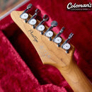 PRELOVED IBANEZ TQM1 Tom Quayle