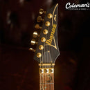 PRELOVED Ibanez PIA3761 Made In Japan Black