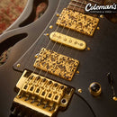 PRELOVED Ibanez PIA3761 Made In Japan Black