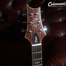 PRELOVED PRS SE Piezo Peacock Blue Smokeburst