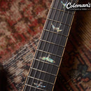 PRELOVED PRS SE Piezo Peacock Blue Smokeburst