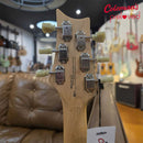 PRELOVED PRS SE Silver Sky - Dragon Fruit