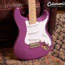 PRELOVED PRS SE Silver Sky - Violet