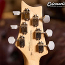 PRELOVED PRS SE Silver Sky - Violet