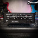 PRELOVED SYNERGY SYN1 with Bogner Module