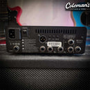 PRELOVED SYNERGY SYN1 with Bogner Module