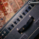 PRELOVED VOX AC15C1 Amplifier