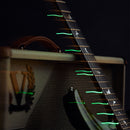 PRIVATE COLLECTION ESP Custom Shop Horizon Birds