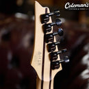 Preloved Ibanez Prestige RG5121ET PRT Polar Lights
